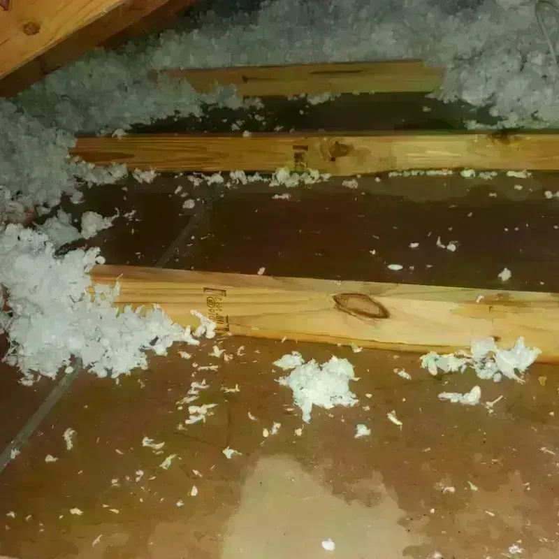 Attic Water Damage in Marthasville, MO