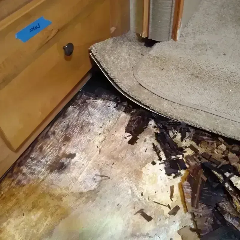 Wood Floor Water Damage in Marthasville, MO